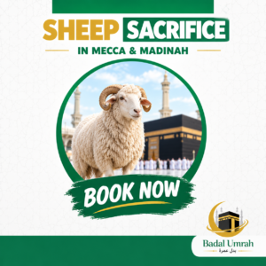 Qurbani Sheep Price in Makkah