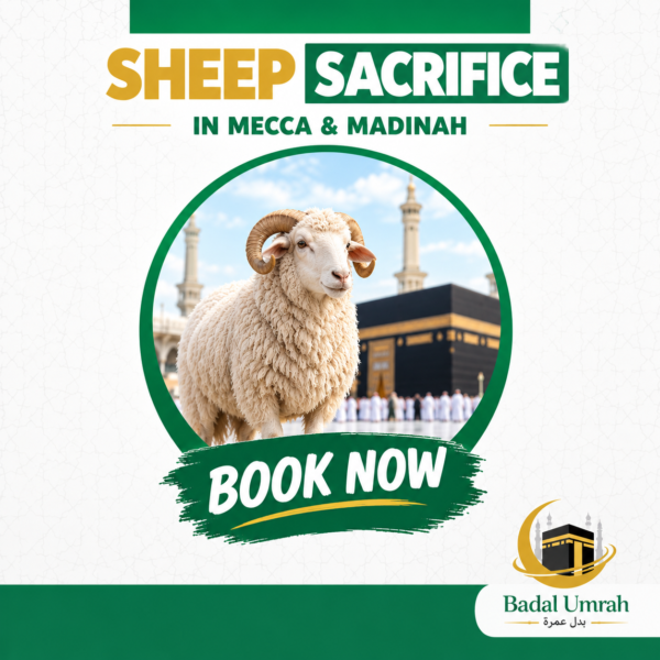 Qurbani Sheep Price in Makkah