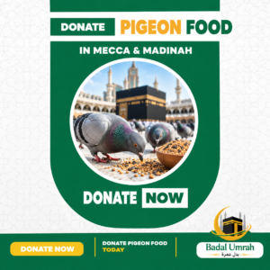 Feed Pigeons in Makkah